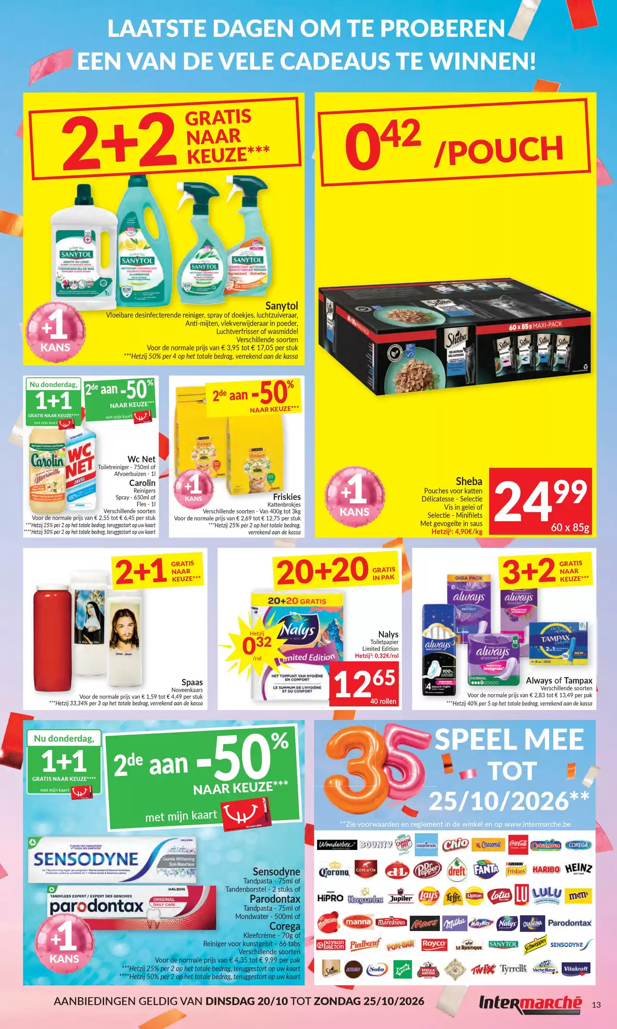 Pagina 13
