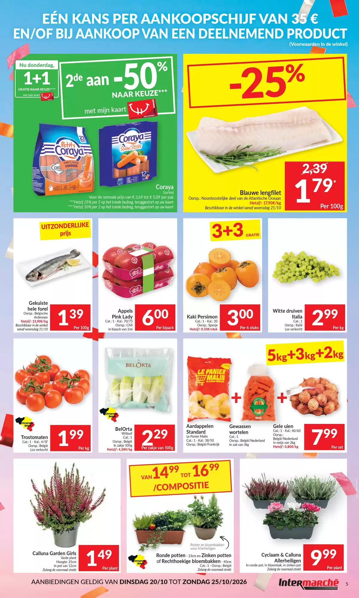 Pagina 5