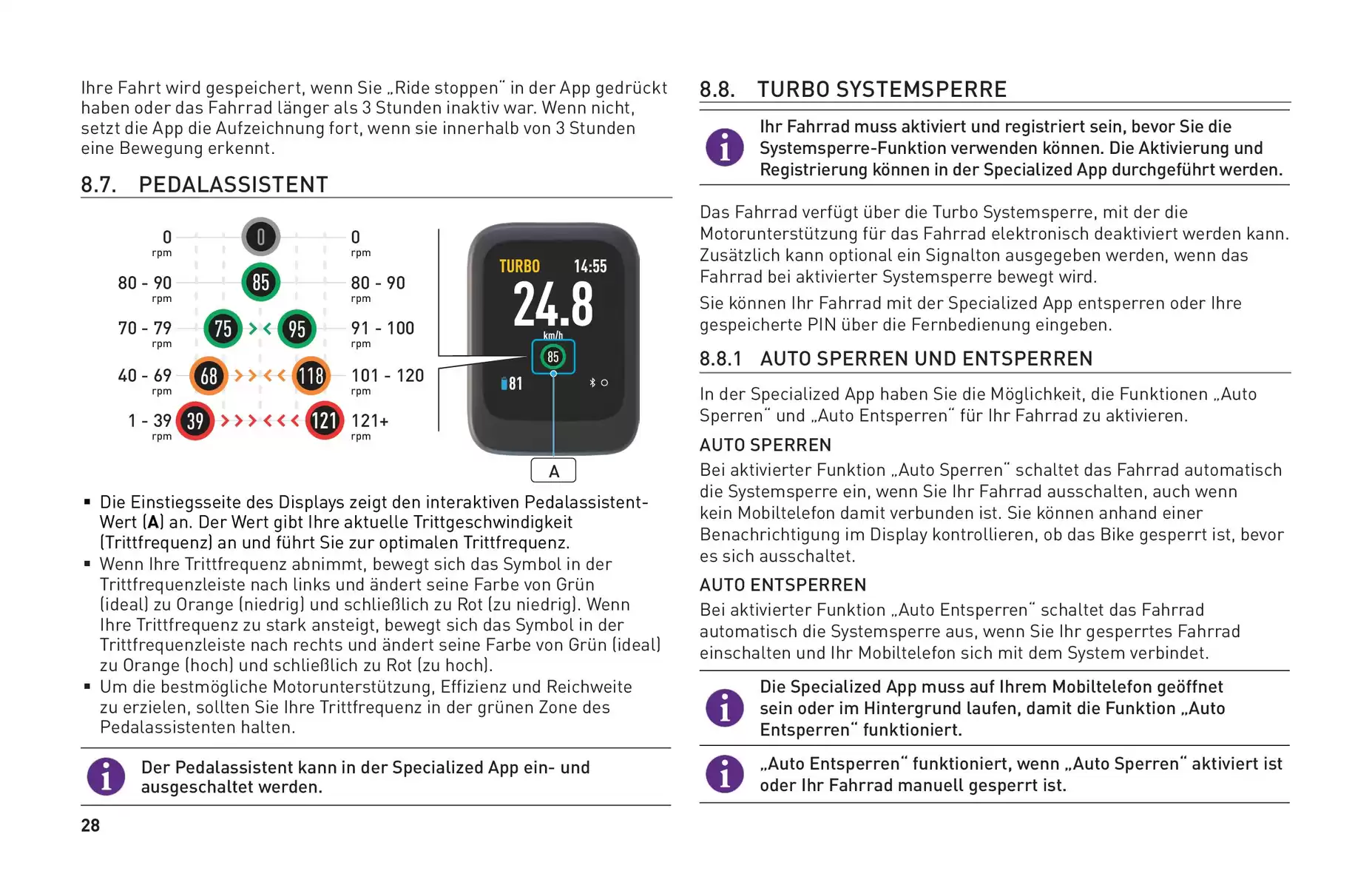 Pagina 31